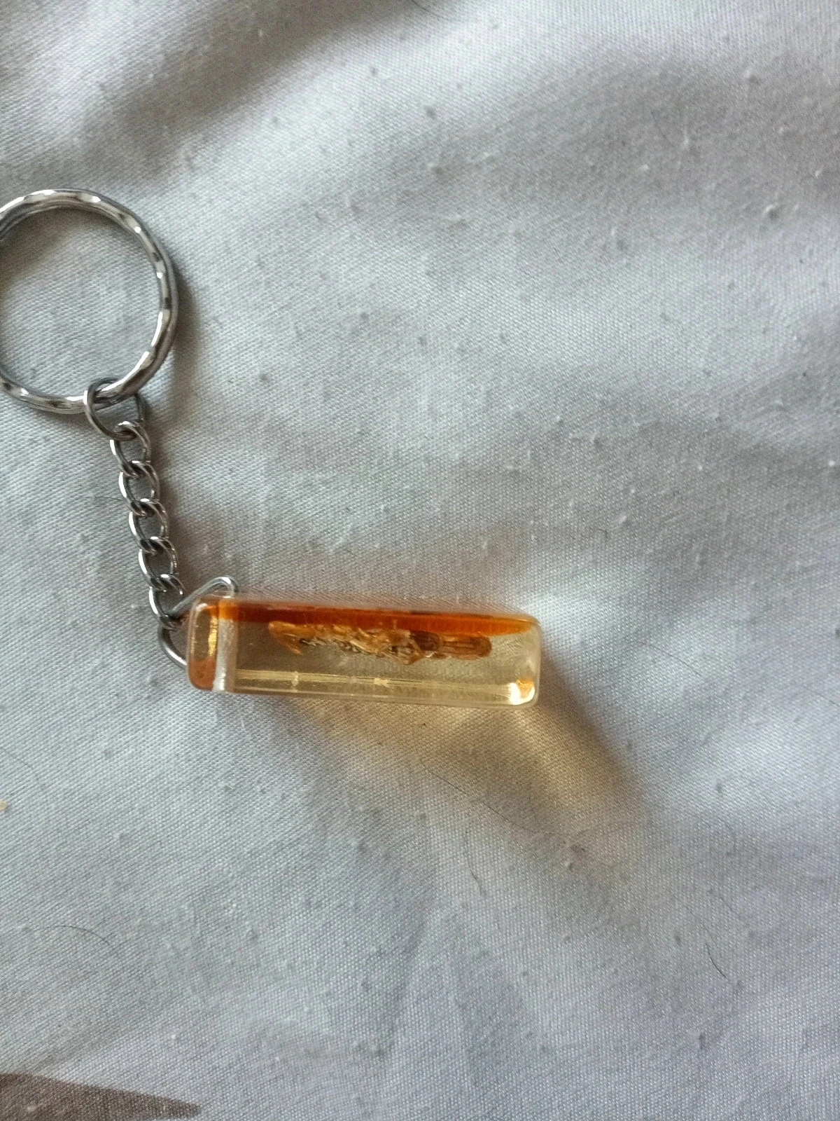 Scorpion Echt sleutelhanger in hars – photo 5
